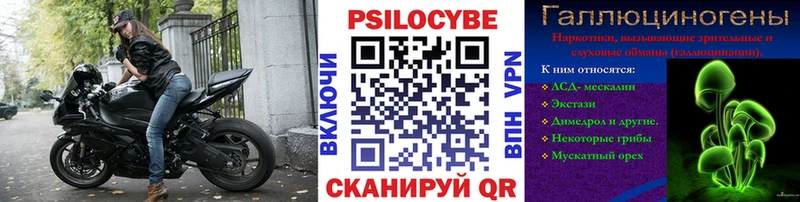 Псилоцибиновые грибы MAGIC MUSHROOMS ОМГ ОМГ как войти Стерлитамак